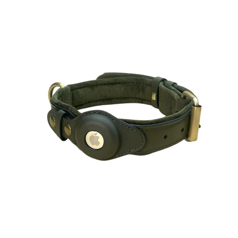 Dog Collar with Secure AirTag Holder