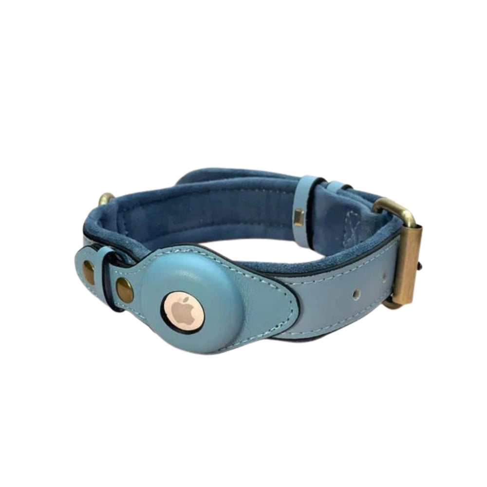 Dog Collar with Secure AirTag Holder