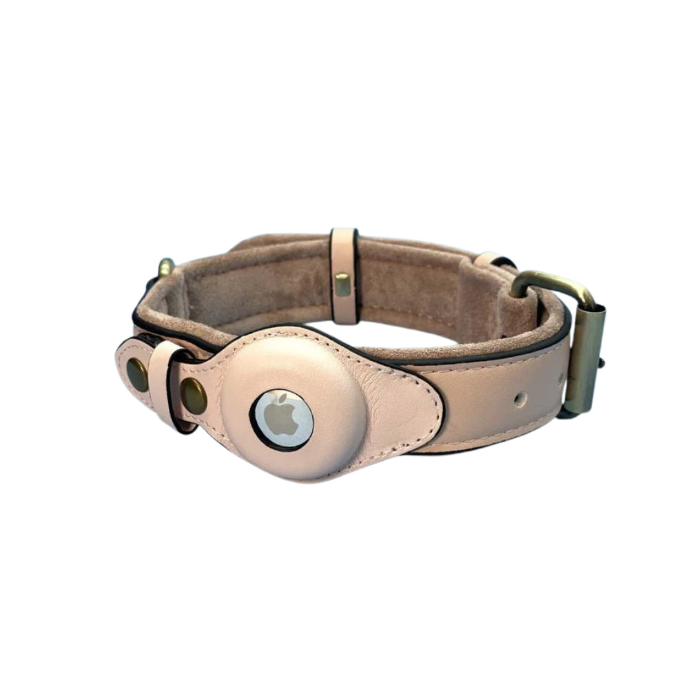 Dog Collar with Secure AirTag Holder