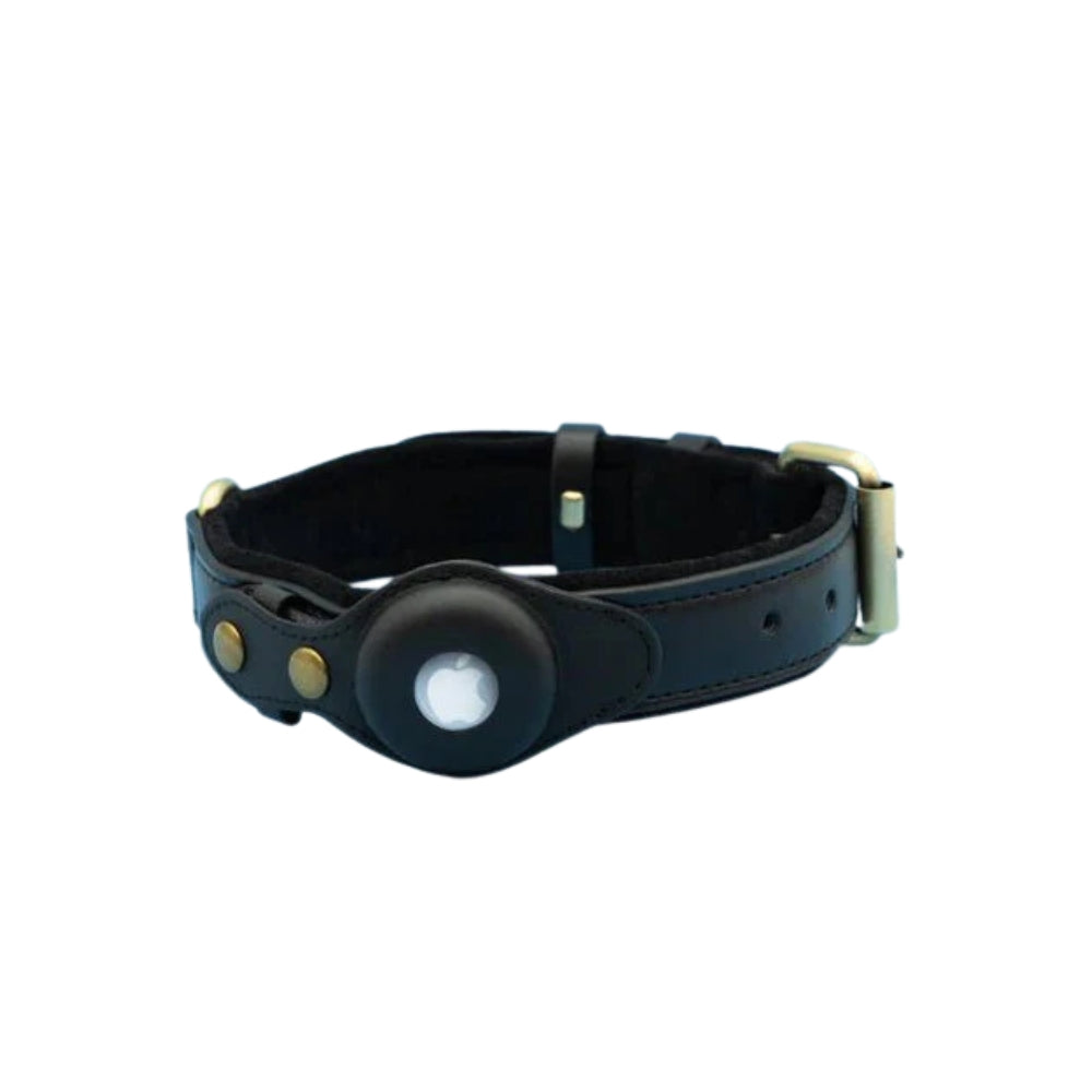 Dog Collar with Secure AirTag Holder