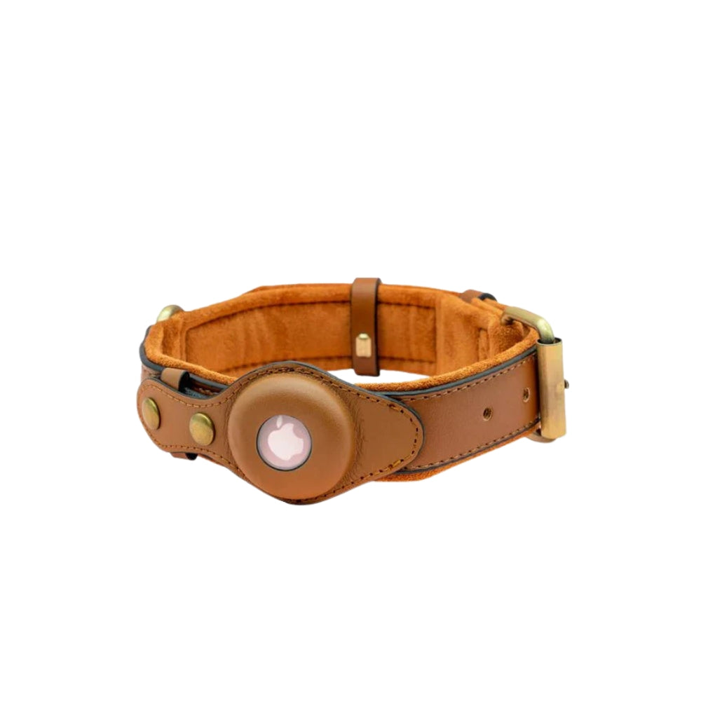 Dog Collar with Secure AirTag Holder